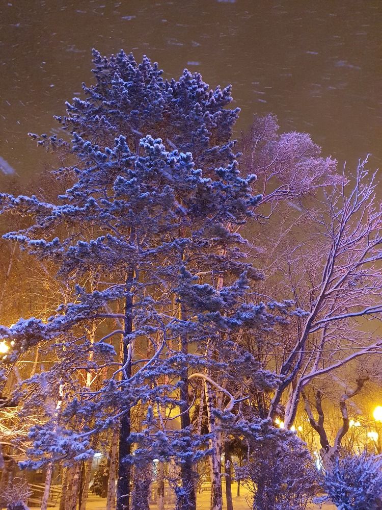 Photograph by Жанна Регор