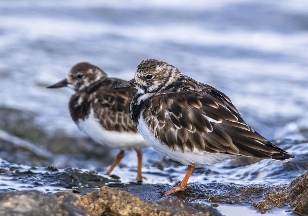 Photograph by Валентина Лопаткина