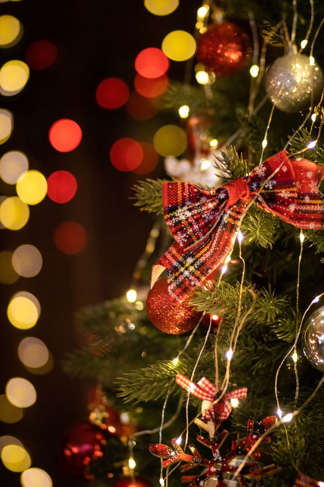 Фотография автора Александр Черепанов