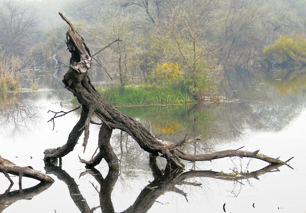 Photograph by subhash purohit