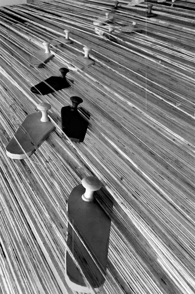 Photograph by GURJIT SHAH