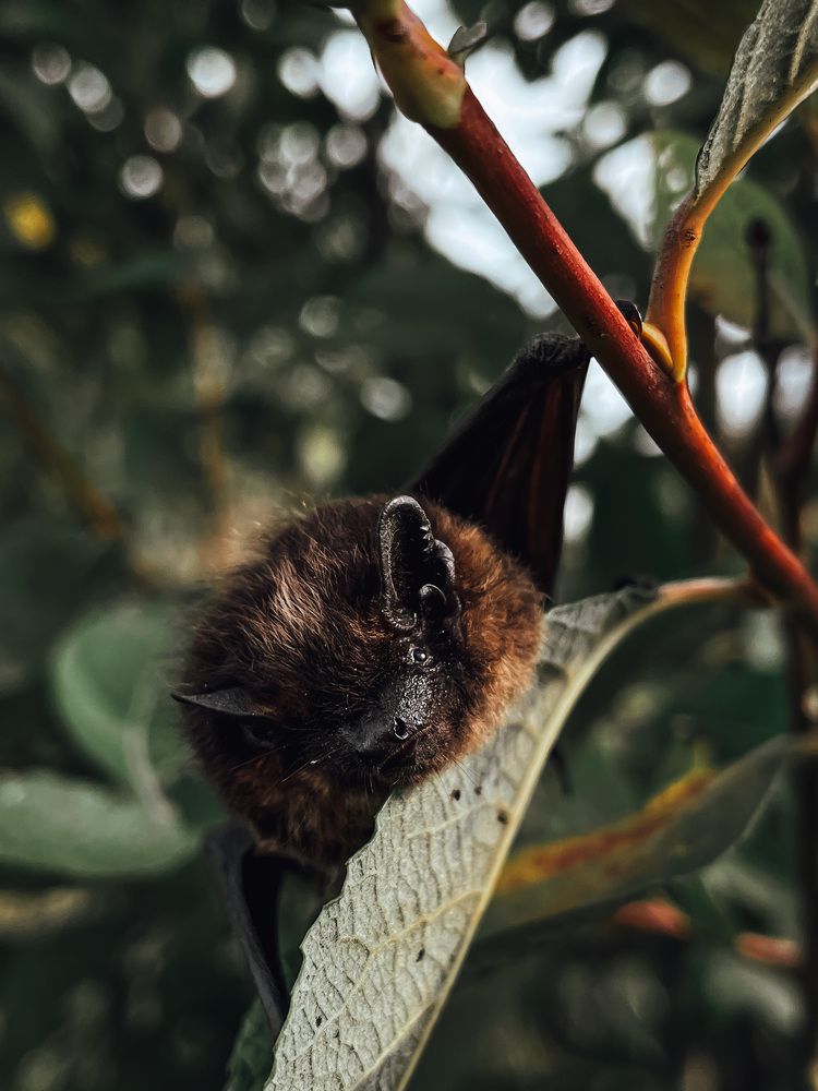 Photograph by Елена Гайдай