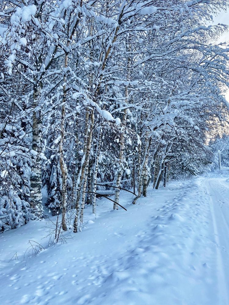 Photograph by Oksana Smorodina