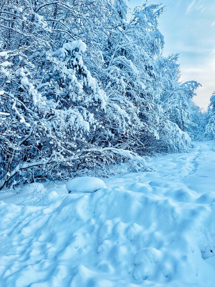 Photograph by Oksana Smorodina