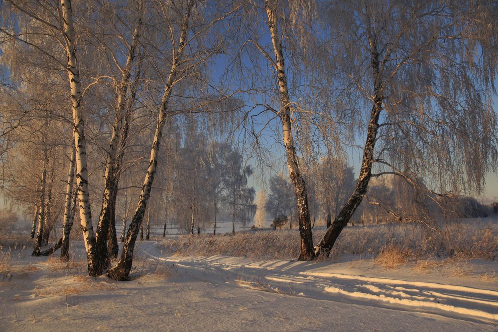 Photograph by Алексей Хахлов