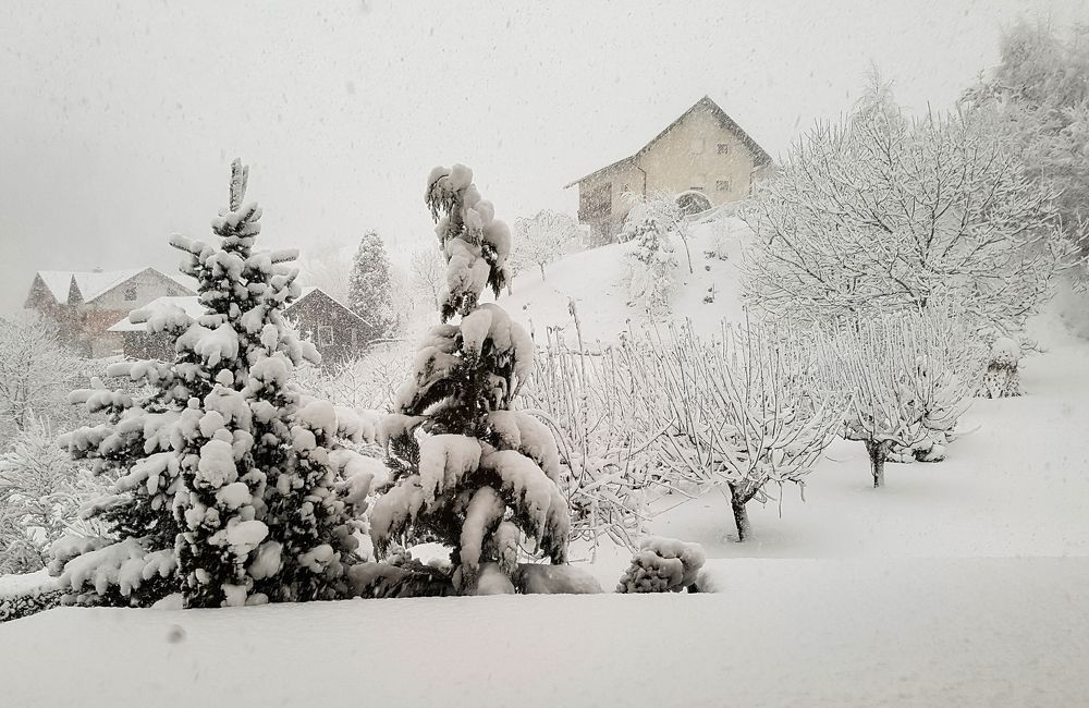 Photograph by Boris Pušnik