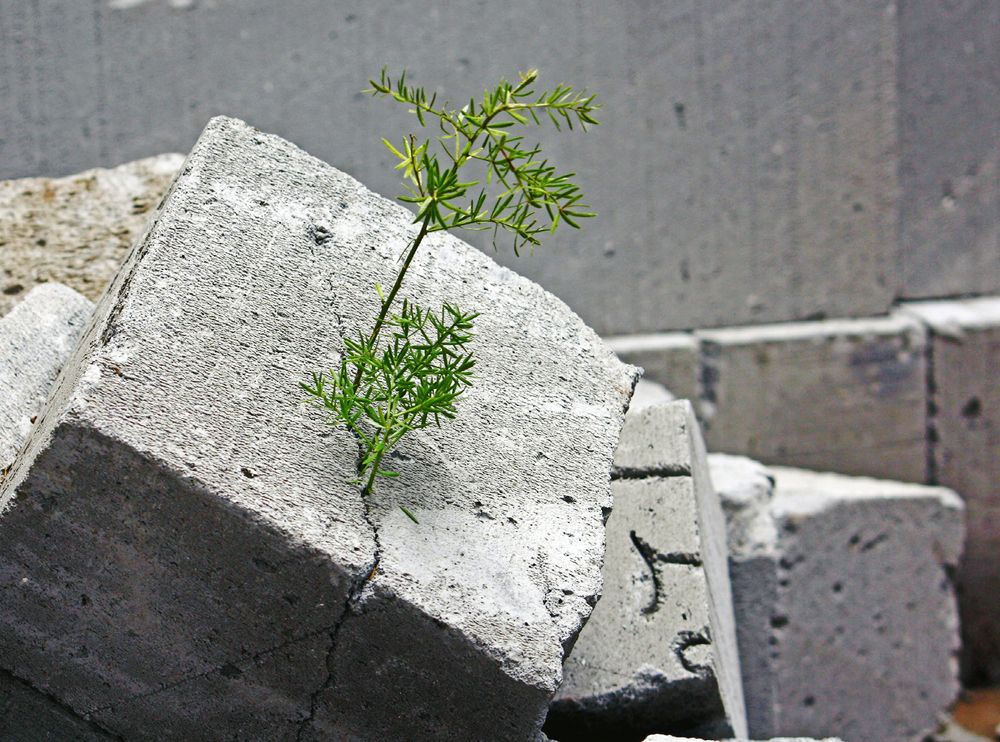 Photograph by subhash purohit