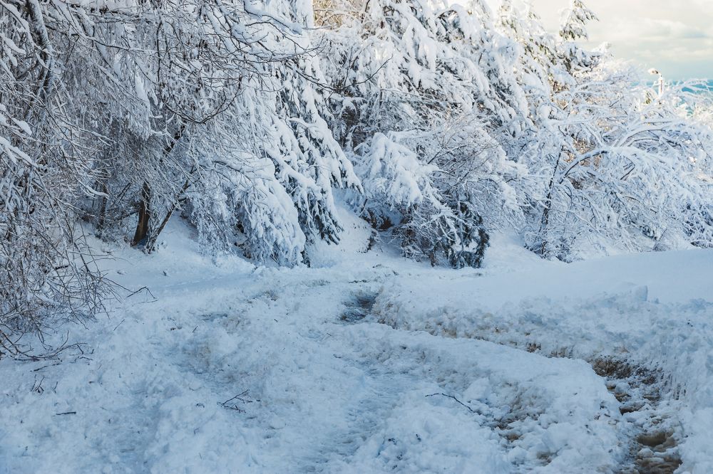 Photograph by Виталий Шкадинов