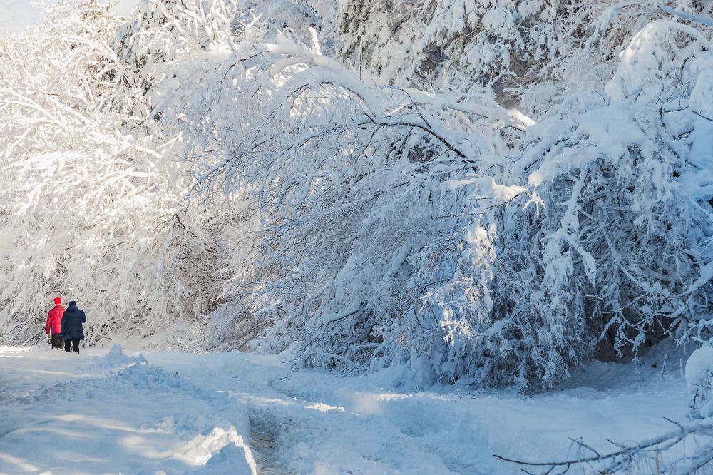 Photograph by Виталий Шкадинов