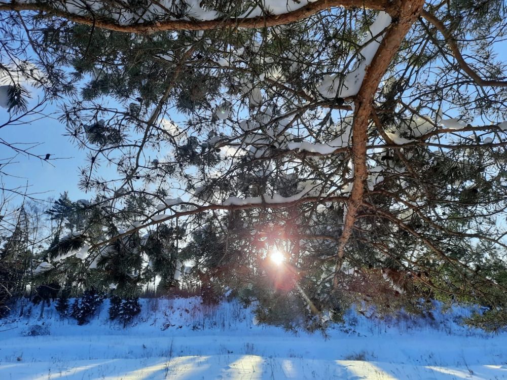 Photograph by Светлана Цапина