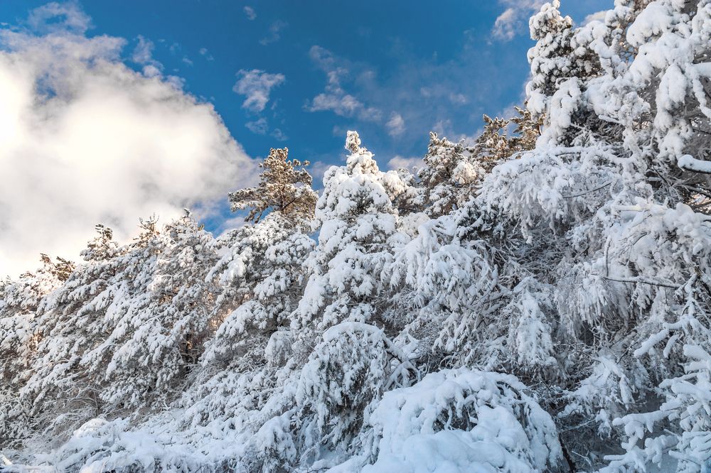 Photograph by Виталий Шкадинов