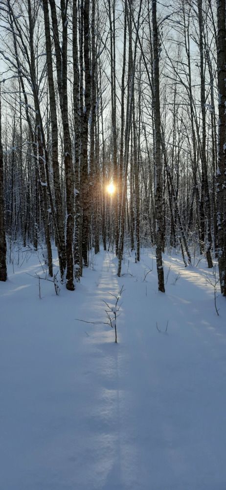 Photograph by Светлана Цапина