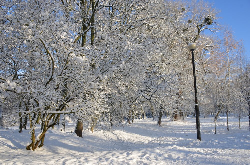 Photograph by Надежда Каравайцева