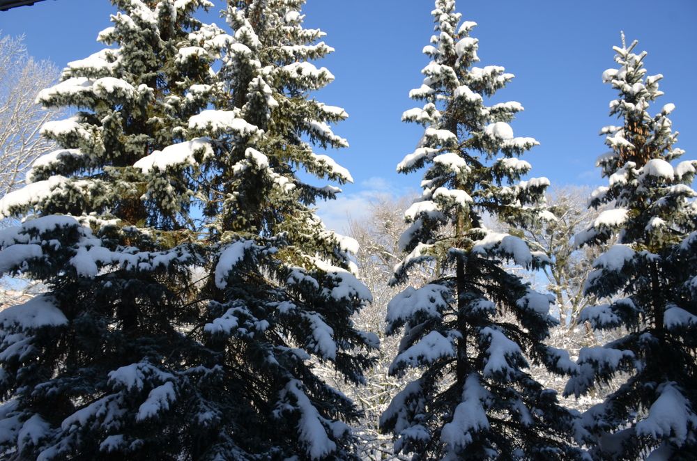 Photograph by Надежда Каравайцева