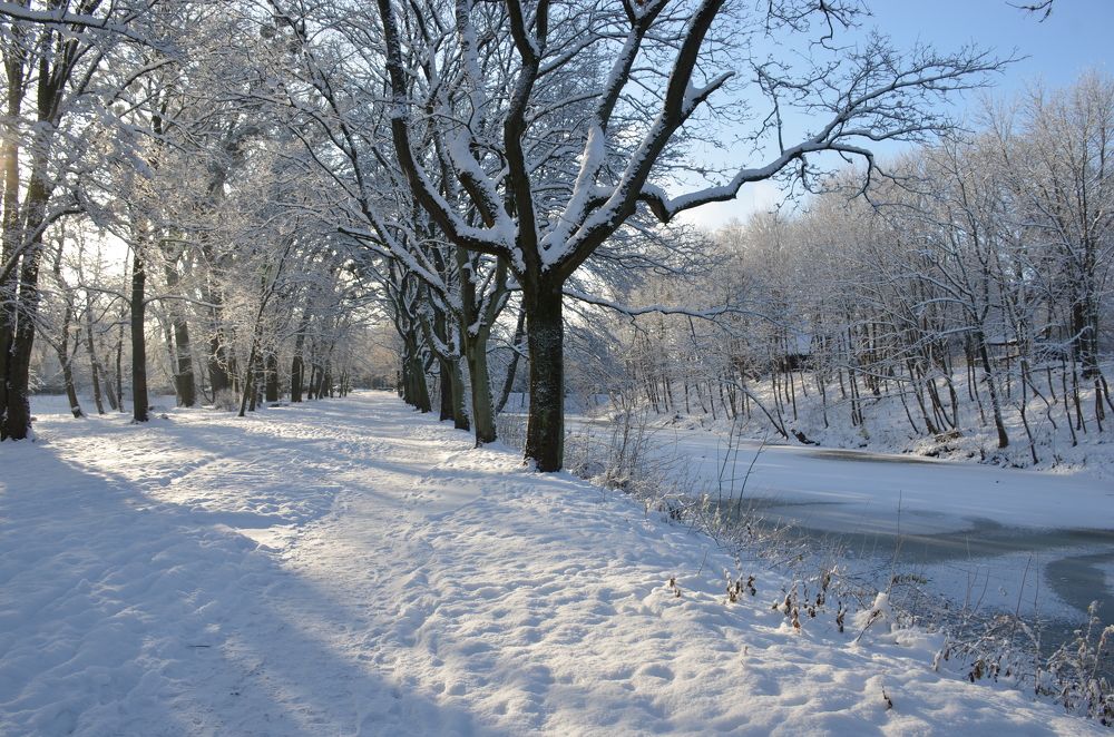 Photograph by Надежда Каравайцева