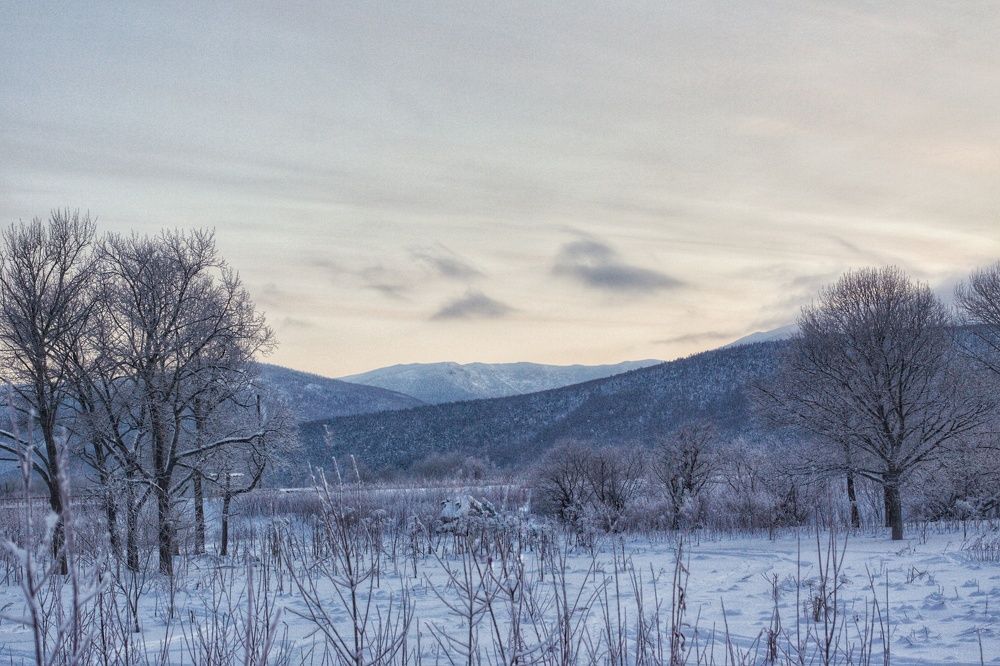 Photograph by Наталья Островцева