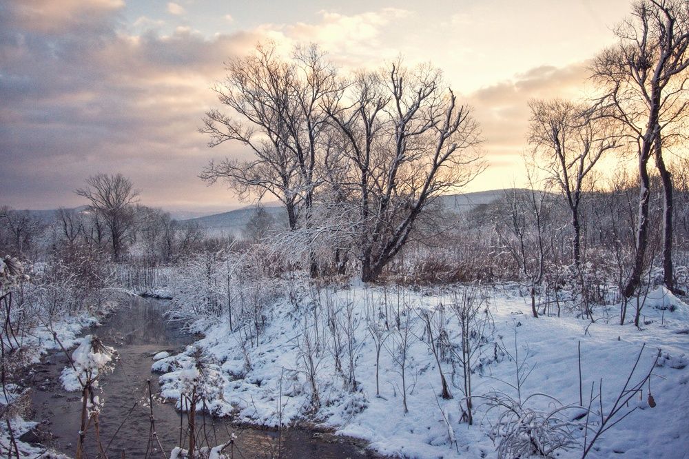 Photograph by Наталья Островцева