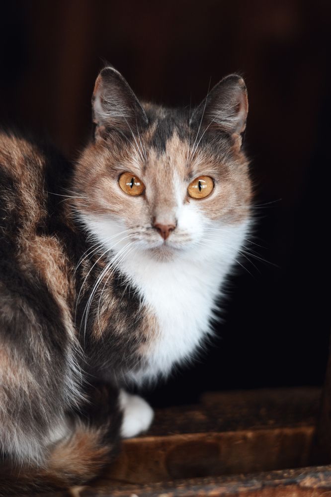 Photograph by Мария Конюхова