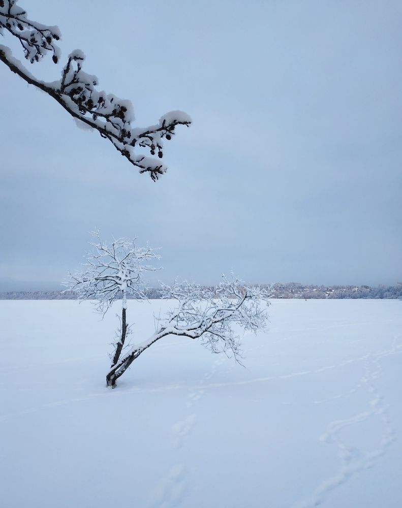 Photograph by Светлана Белозерова
