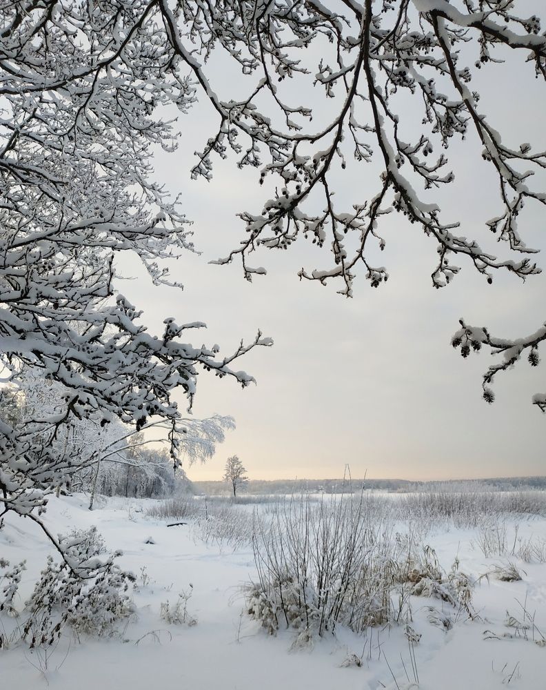 Photograph by Светлана Белозерова
