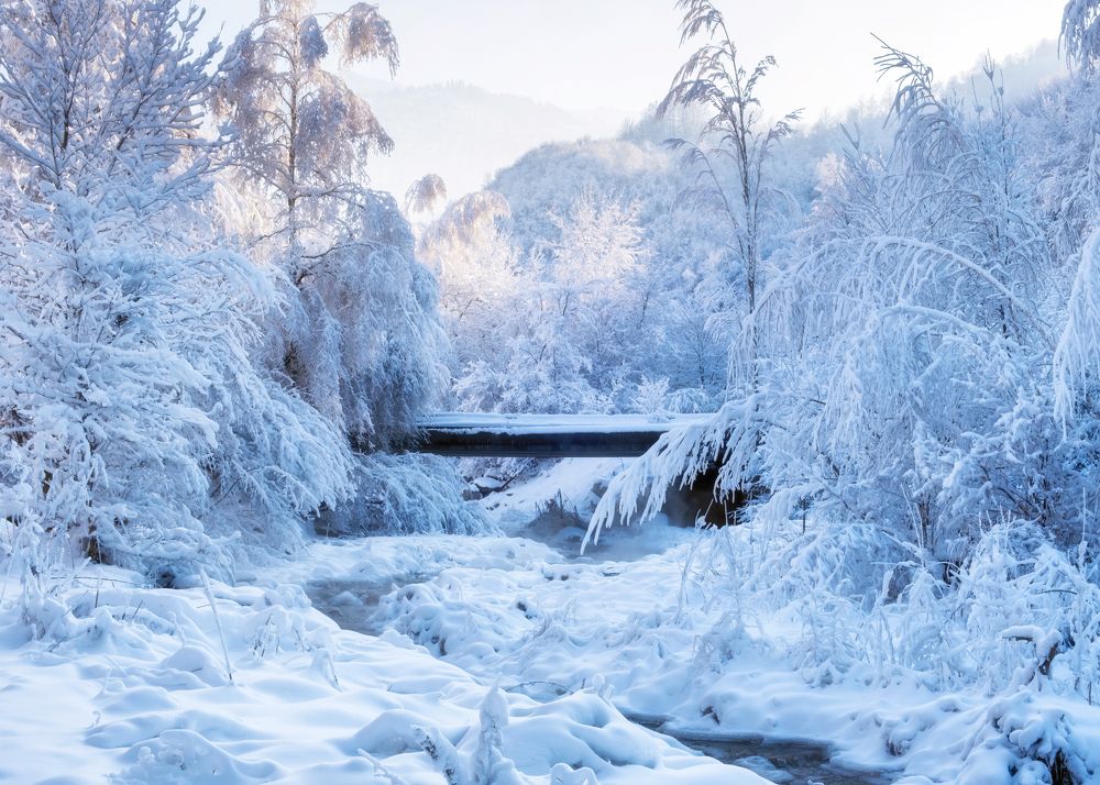 Photograph by Светлана Краюшкина