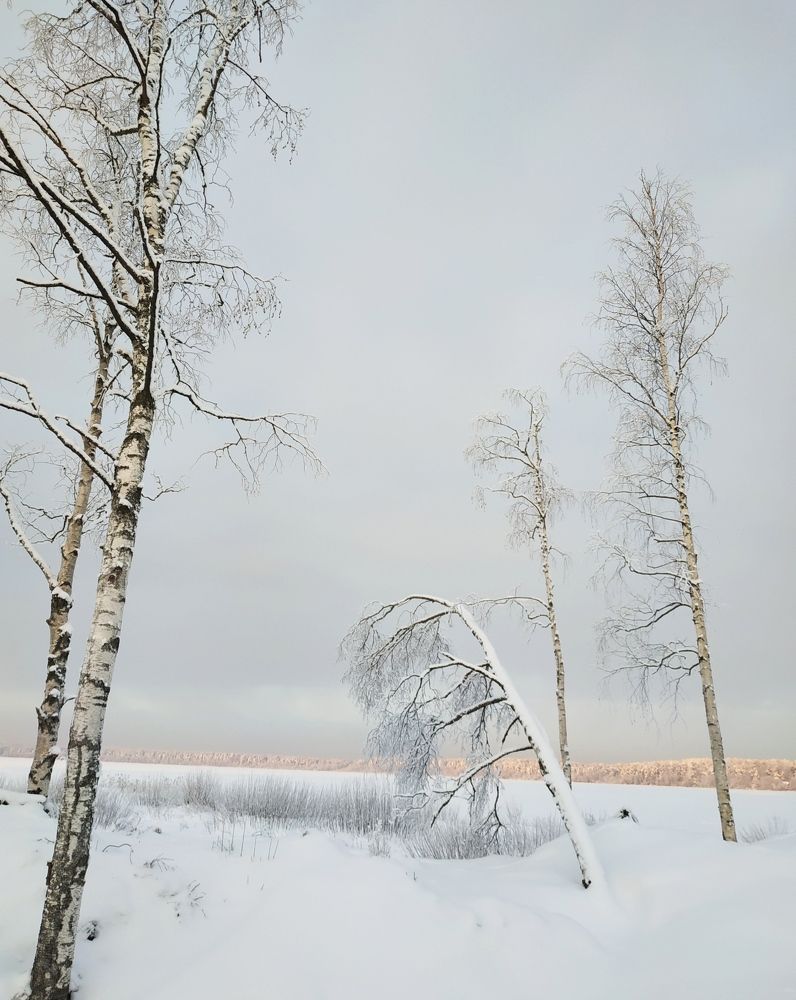 Photograph by Светлана Белозерова