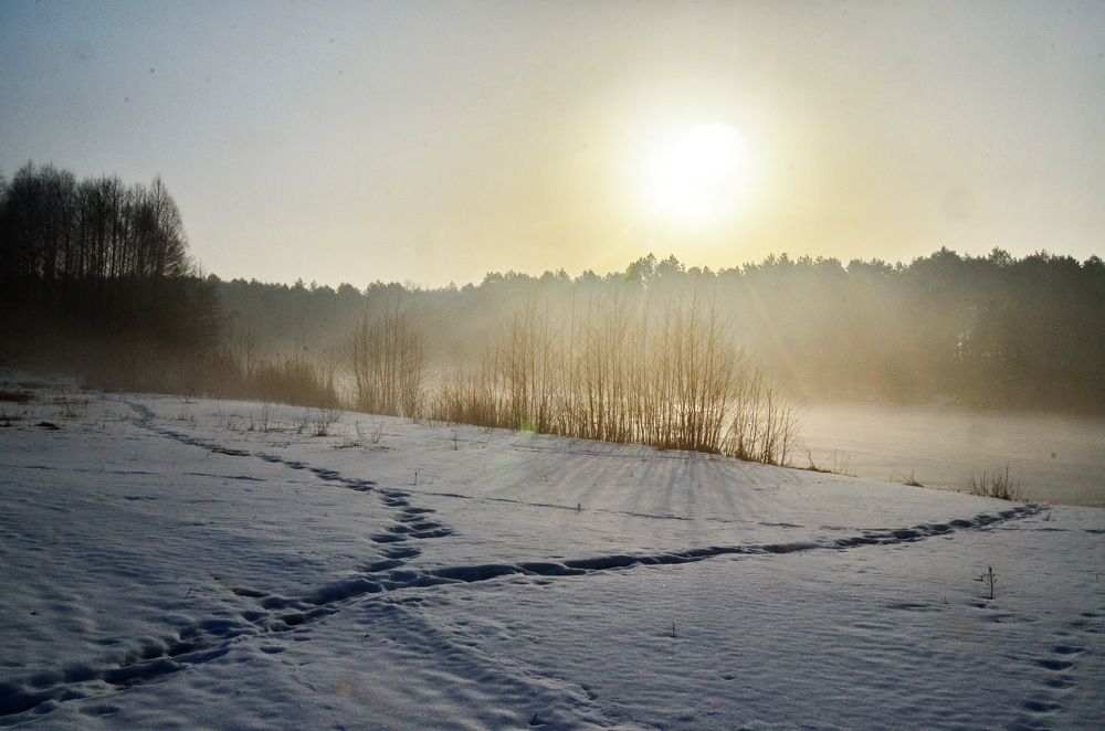 следы перед закатом
