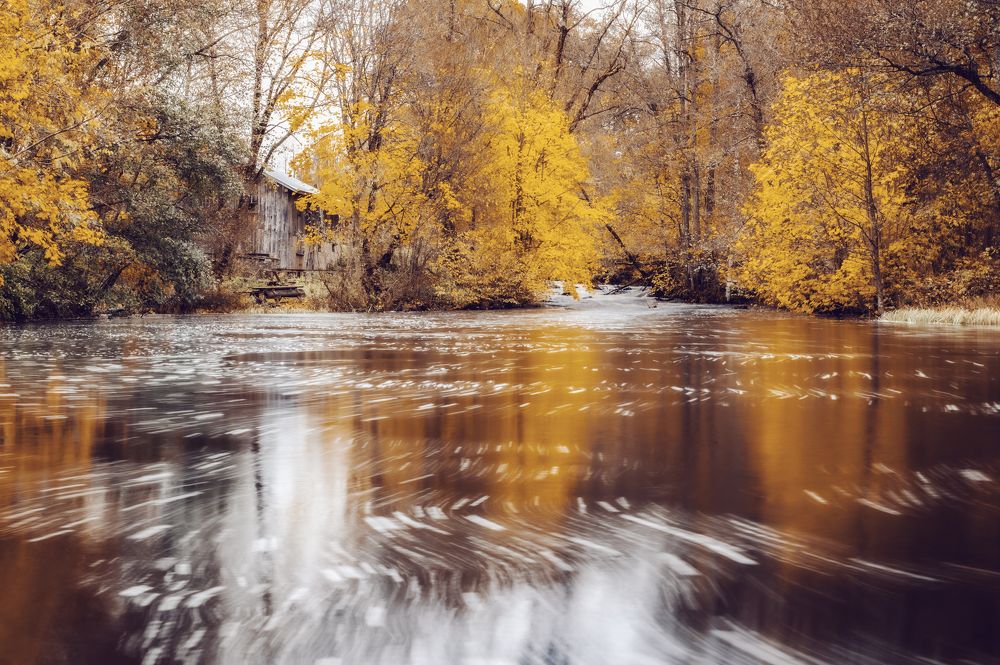 Photograph by Linda Persson