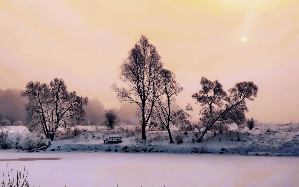 Фотография автора Алексей Ганчук
