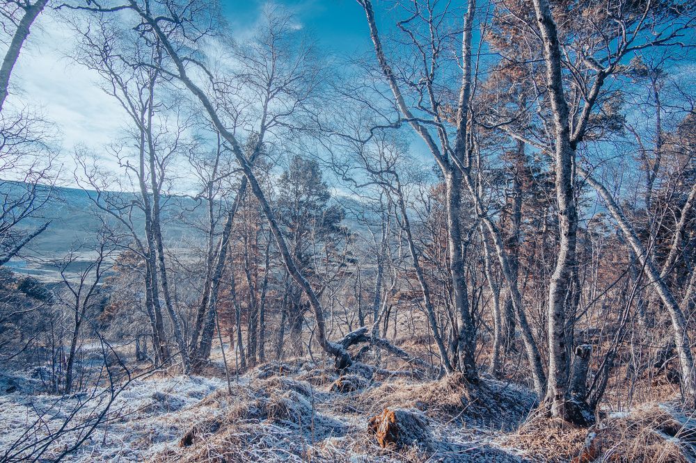 Фотография автора Вадим Коваленко