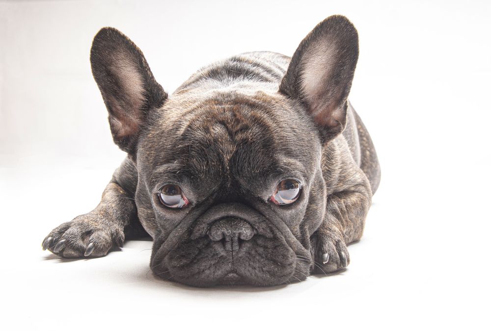 Photograph by Анна Васильева