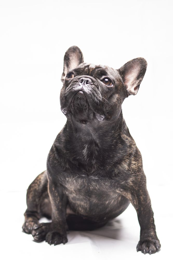 Photograph by Анна Васильева