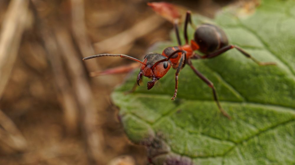 Photograph by Мичурин Андрей