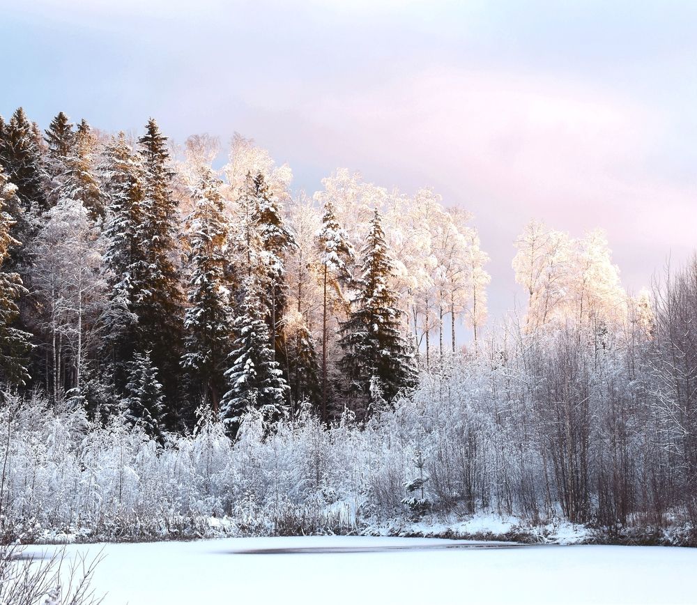 Photograph by Елена Павлова