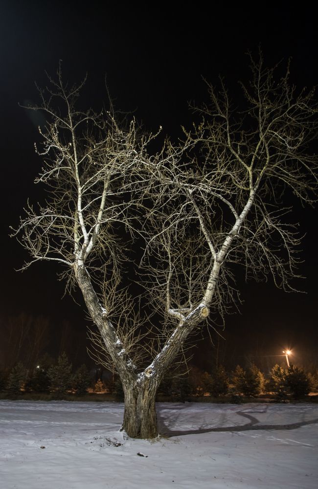 Photograph by Константин Искучеков