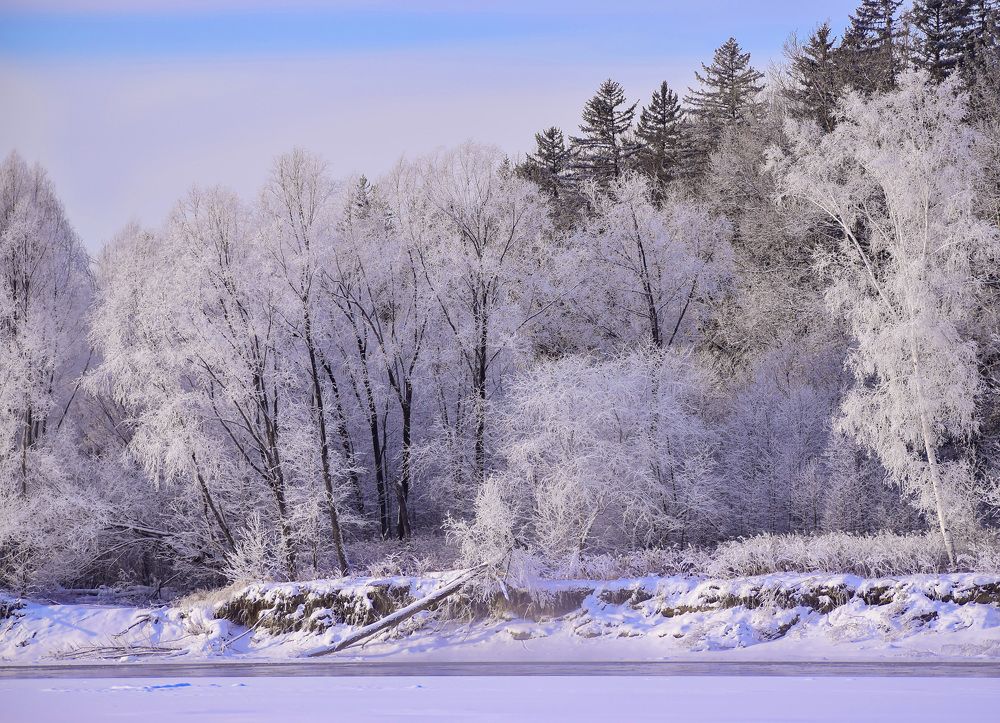 Украшение зимы