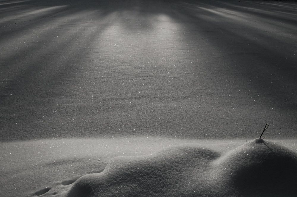 Photograph by Давыдов Николай