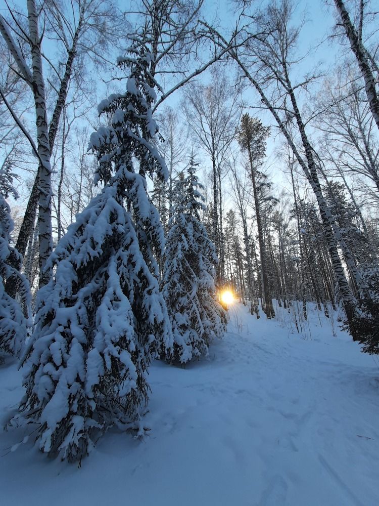 Photograph by Николай Светлаков