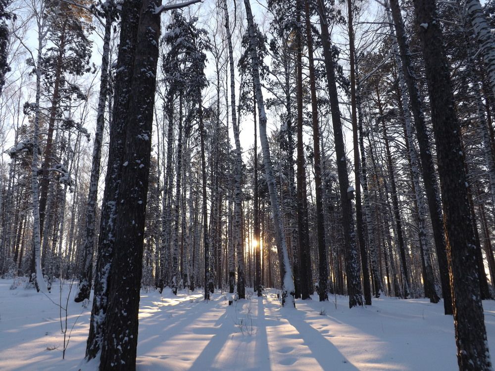 Photo #10013987