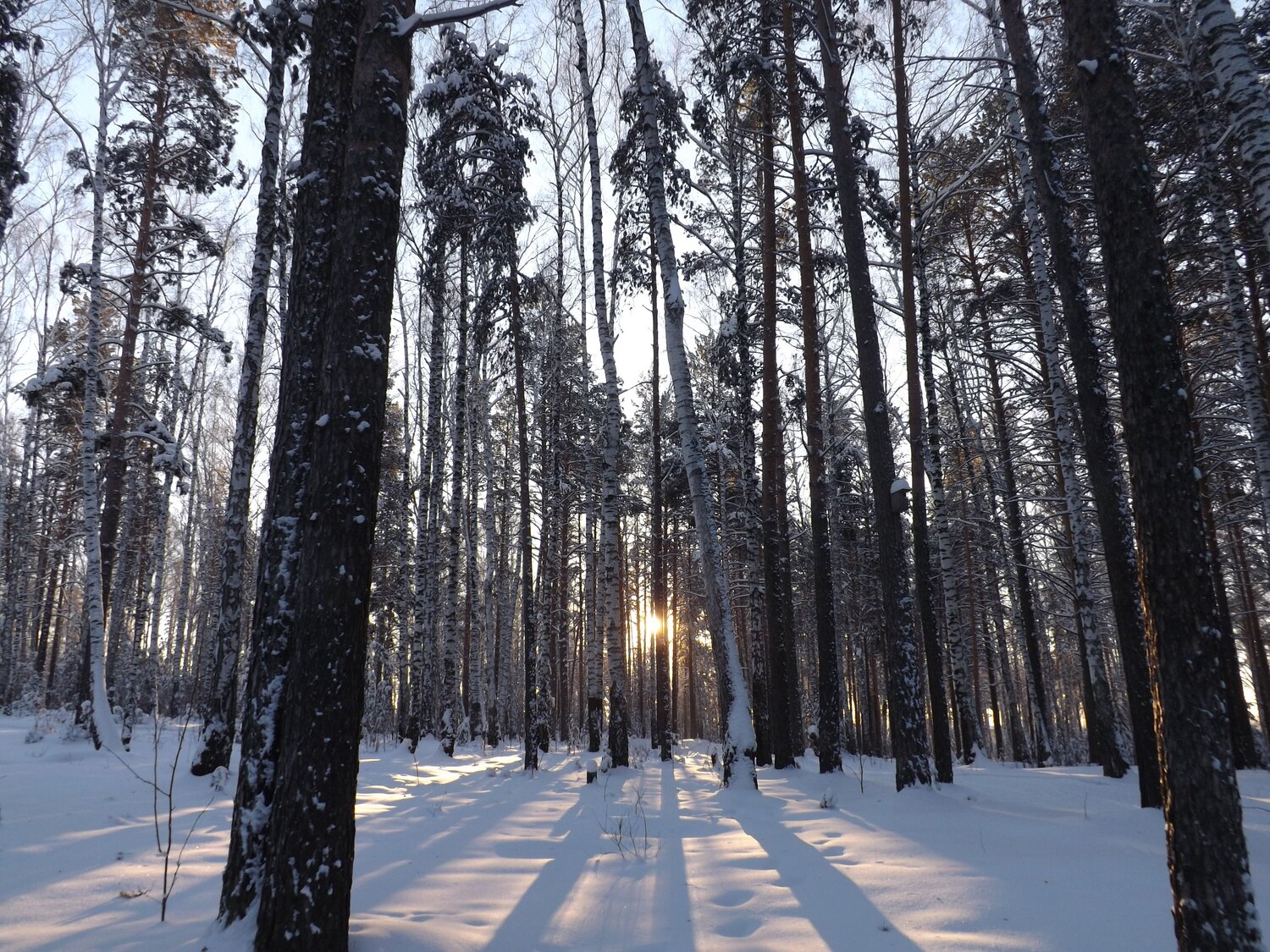 Photo #10013987