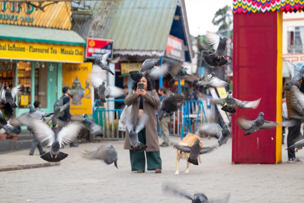 Photograph by Avijit Mukhopadhyay