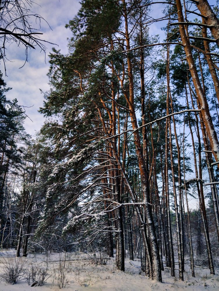 Photograph by Юлия Волгина