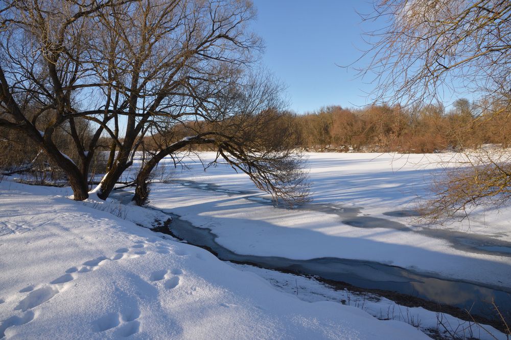 Photograph by Михаил Егоров