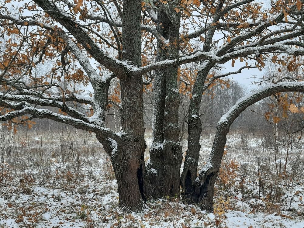 Photograph by Суетинов Евгений