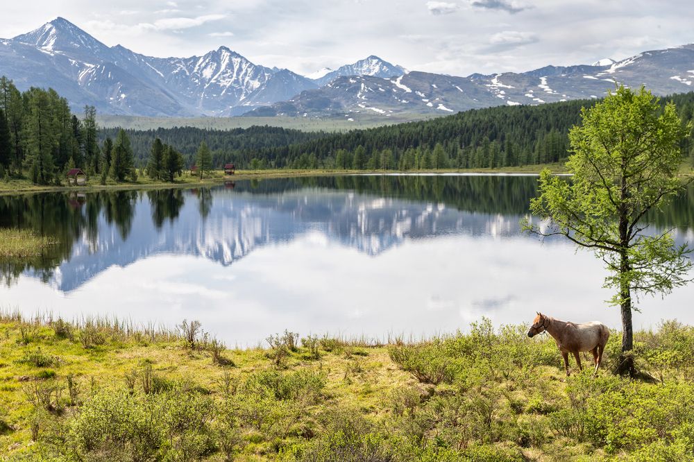 Photograph by Старцев Андрей
