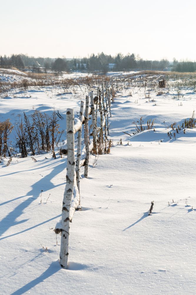 Photograph by Наталья Угрюмова