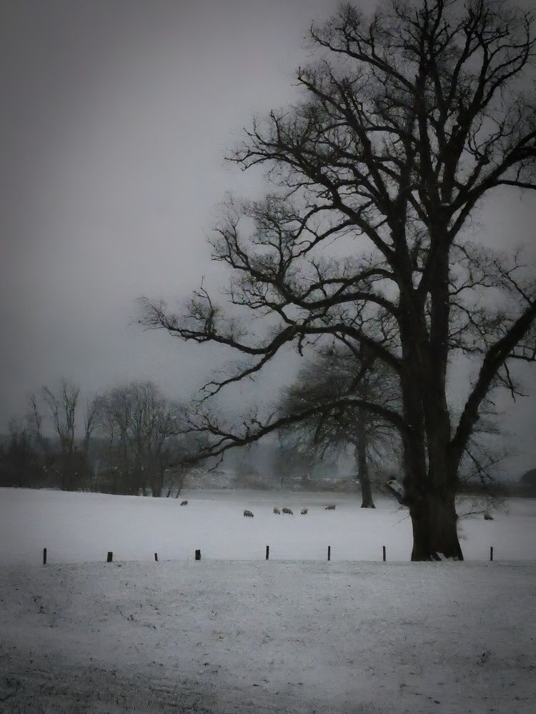 Фотография автора Michael Gault