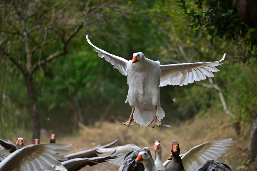 Photograph by Светлана Ивановна