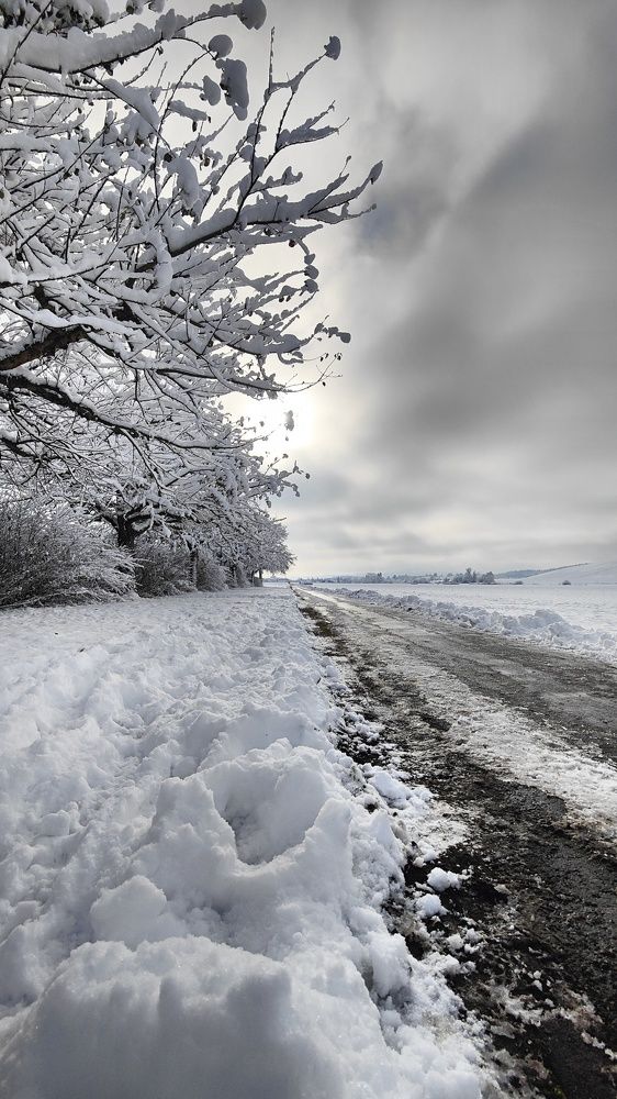 Фотография автора Laura Skwarek