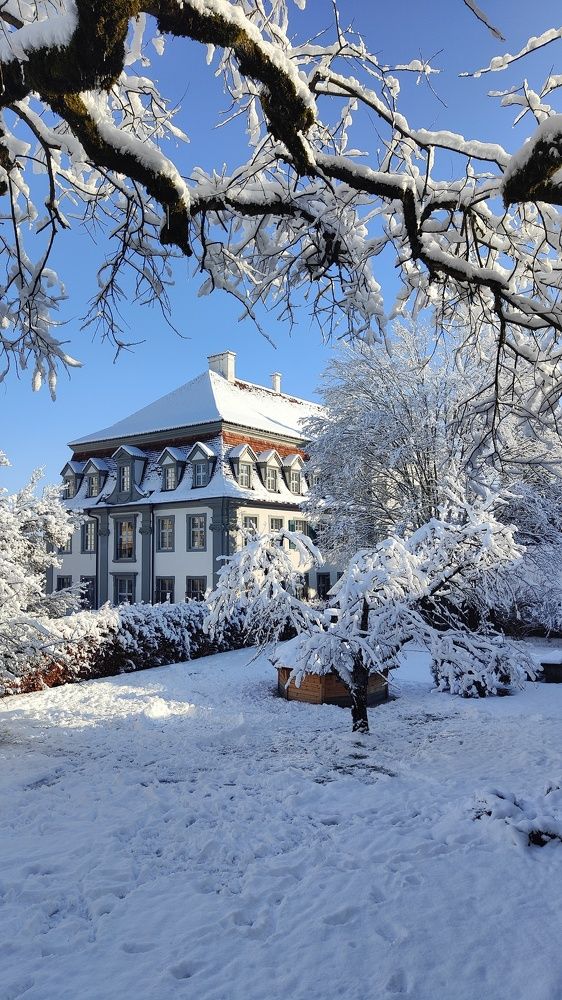 Фотография автора Laura Skwarek